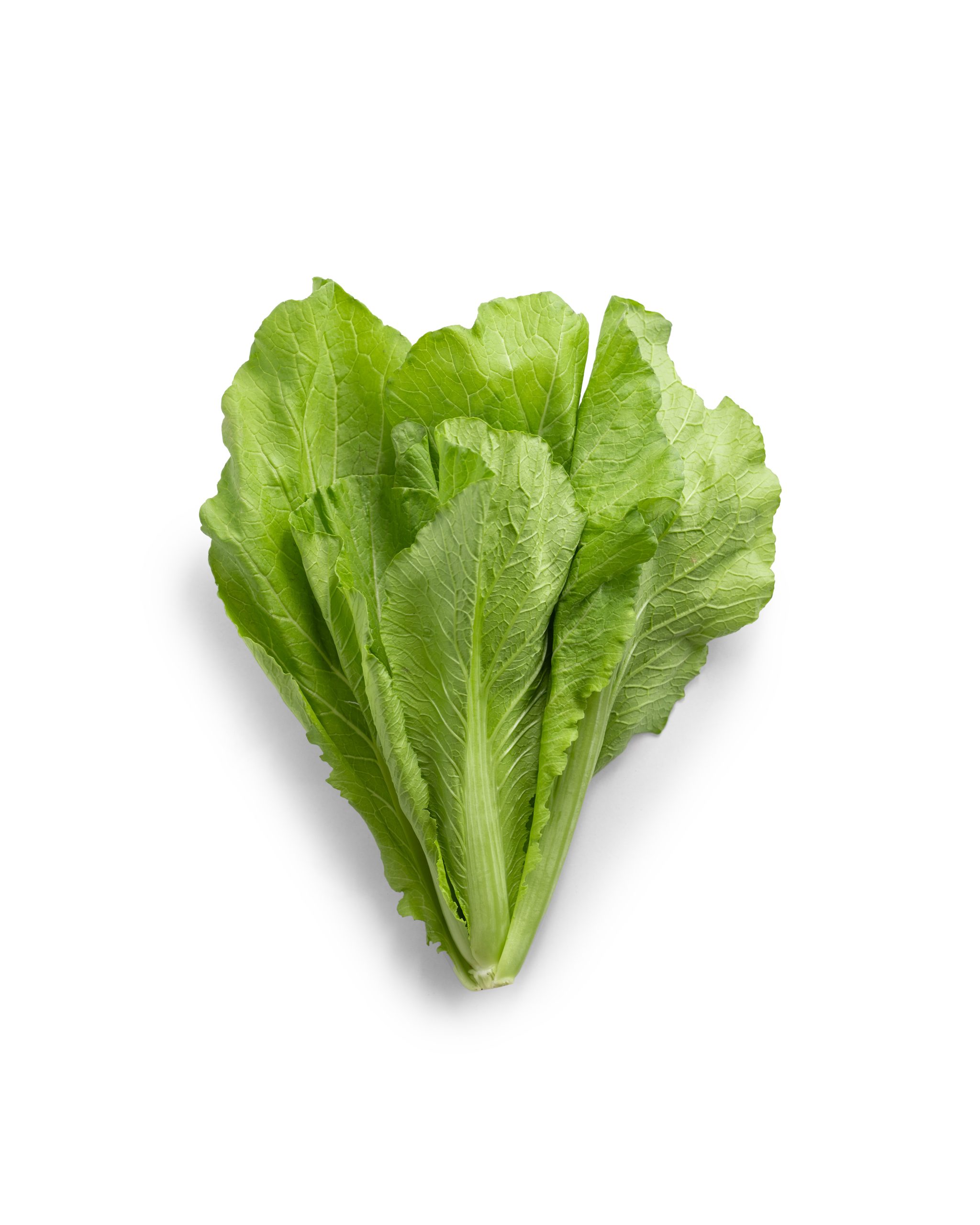 Cải bẹ xanh