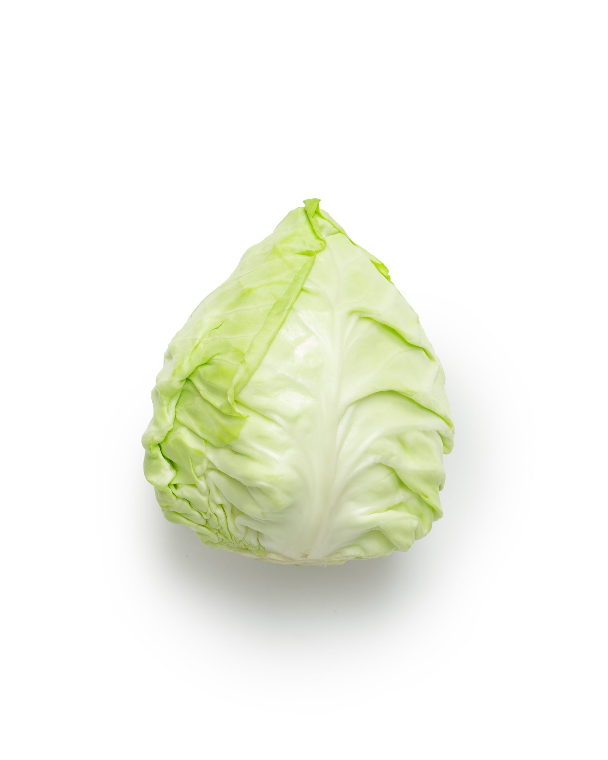 Bắp cải tim