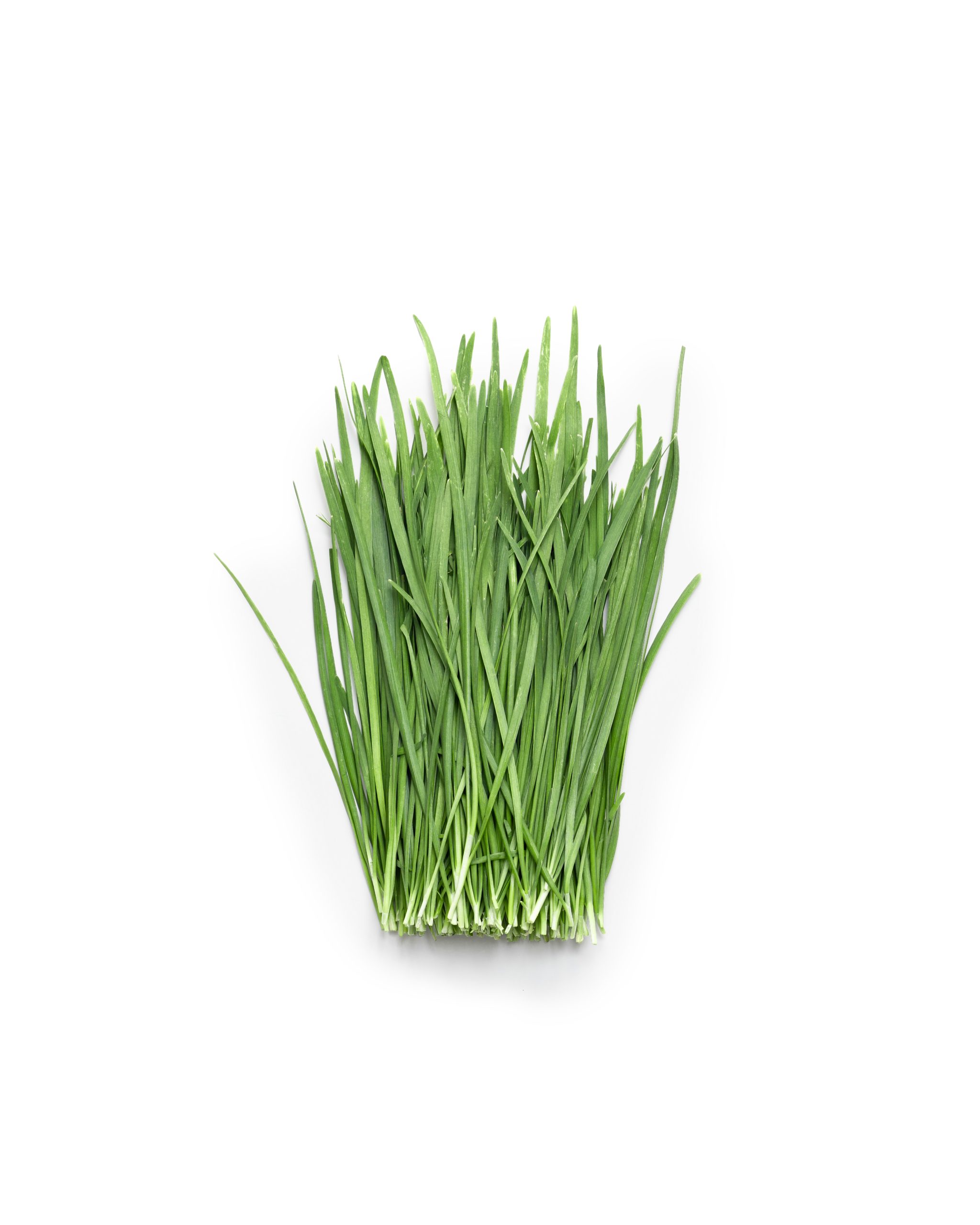 Hẹ