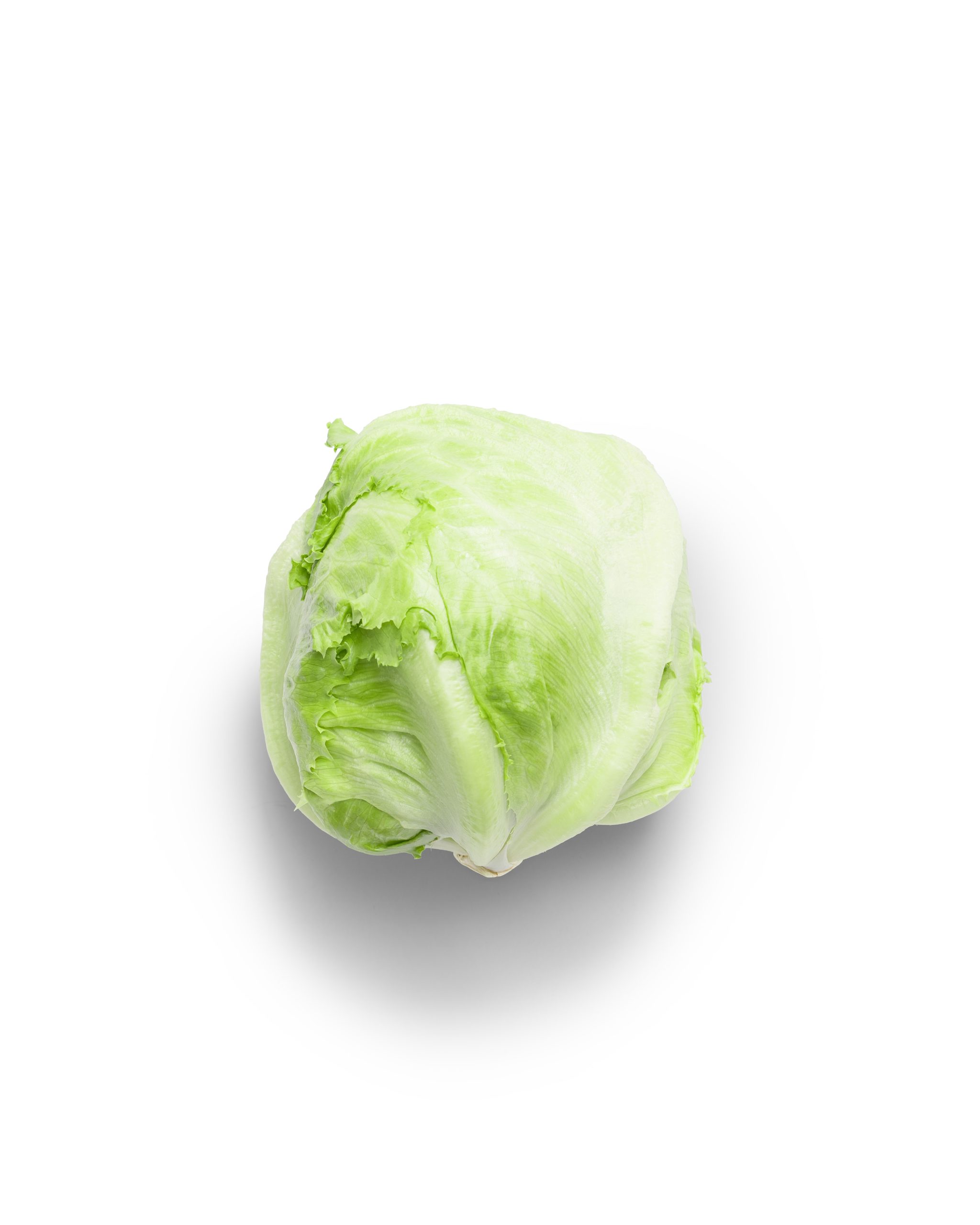Xà lách Iceberg