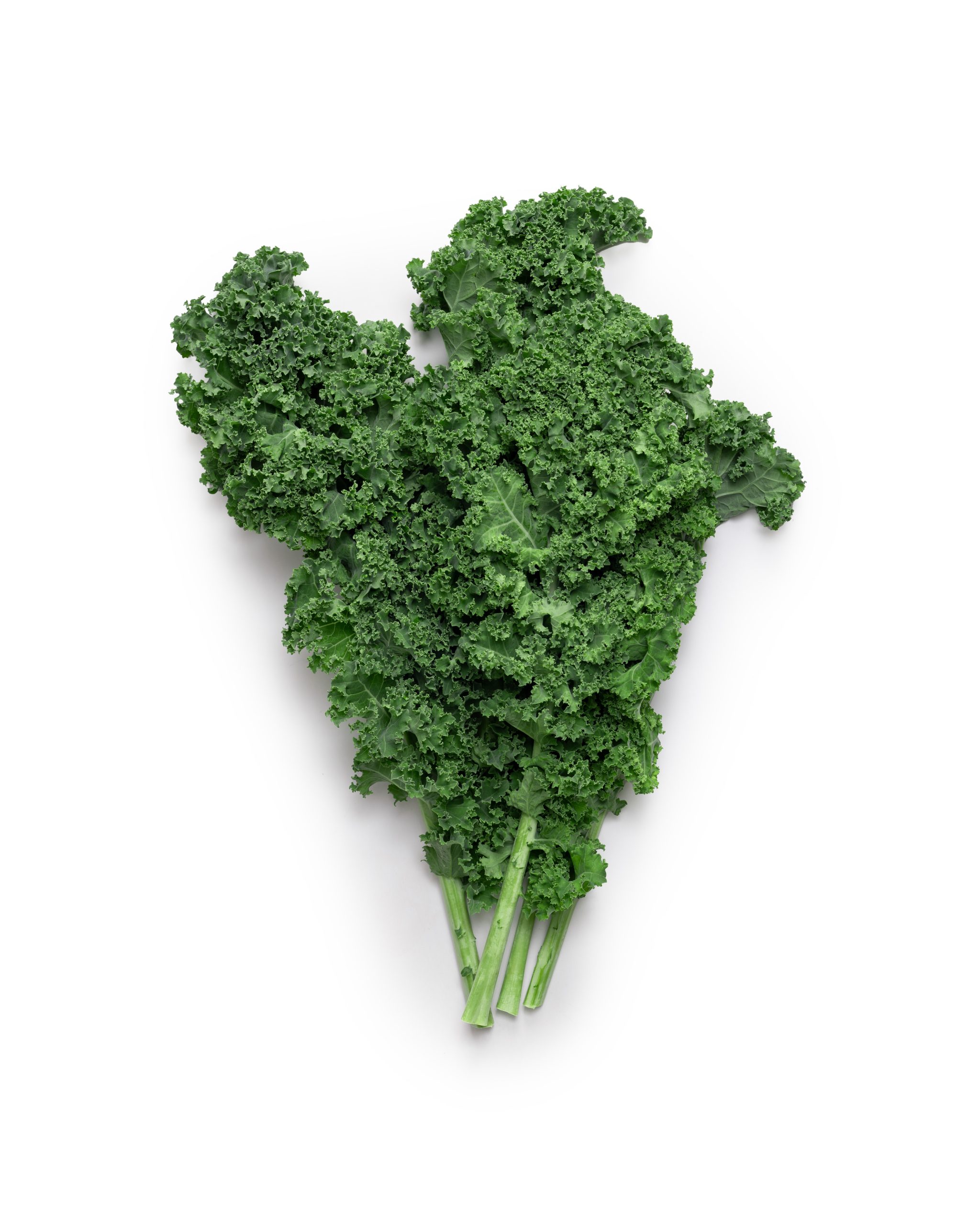Cải xoăn (Kale)